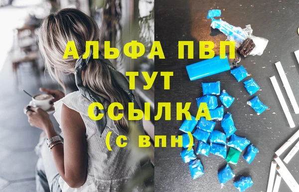 крисы Алзамай
