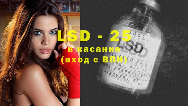крисы Алзамай