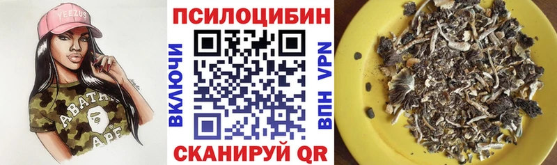Галлюциногенные грибы Magic Shrooms  Мамадыш 